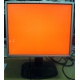 Монитор 19" TFT HP 1955 (DVI в Курске, USB-хаб) "квадратный" (Курск)