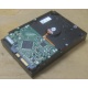 Жесткий диск HP 250Gb 7200 rpm 432337-001/ 399699-001 / 397377-004 (Курск)