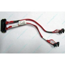 SATA-кабель для корзины HDD HP 451782-001 459190-001 для HP ML310 G5 (Курск)