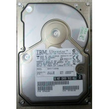 Жесткий диск 18.2Gb IBM Ultrastar DDYS-T18350 Ultra3 SCSI (Курск)