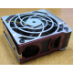 HP 224977 (224978-001) for Proliant ML370 G2/G3/G4 (Курск).