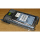 Жесткий диск HP 356910-008 404708-001 146.8Gb ATLAS 10K BD146BA4B5 (Курск)