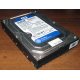 Жесткий диск 500Gb WD WD5000AAKX HP 634605-003 613208-001 7.2k SATA (Курск)