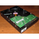 Жесткий диск 500Gb HP 634605-003 613208-001 WD WD5000AAKX 7.2k SATA (Курск)